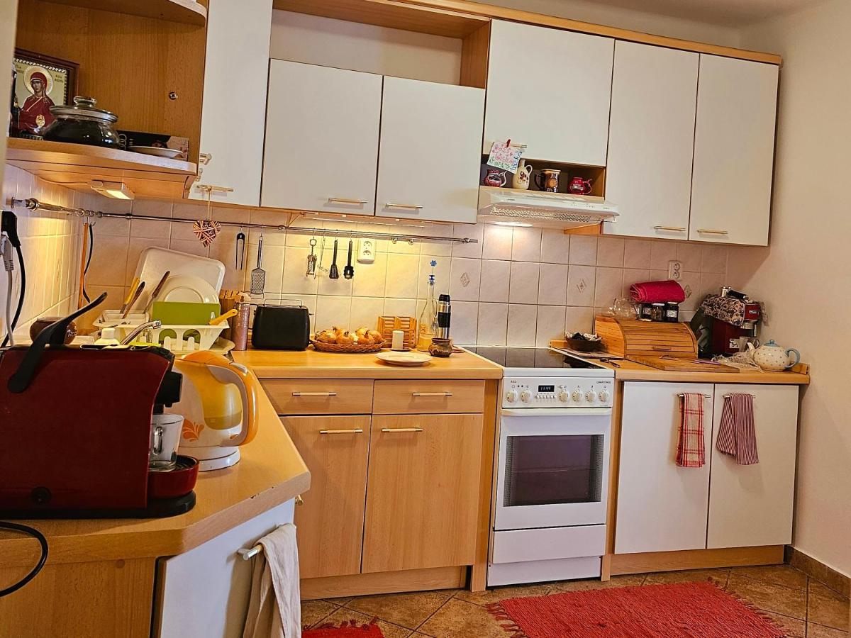 Laxmi Happy Home In Historical Prag Dış mekan fotoğraf